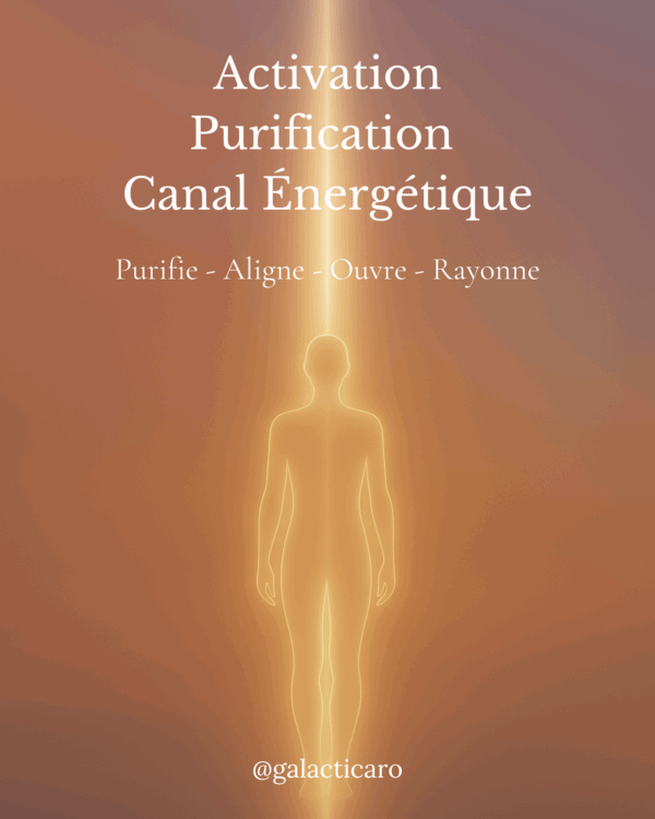 Purification Canal Energétique