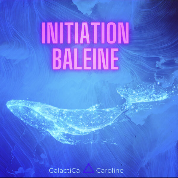 INITIATION BALEINE
